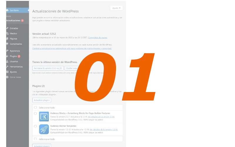 Pantalla actualizaciones de WordPress