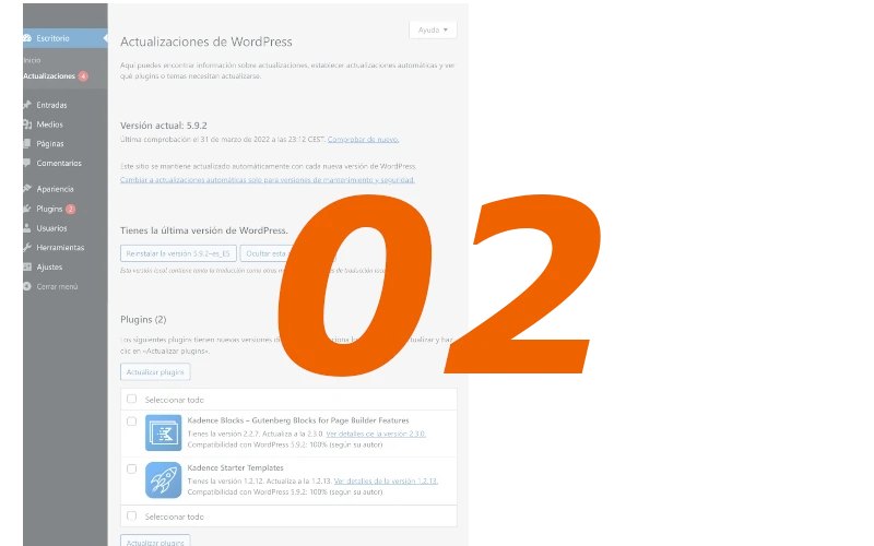 Pantalla actualizaciones de WordPress
