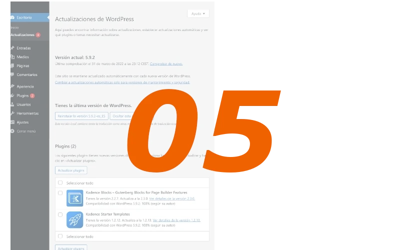 Pantalla actualizaciones de WordPress