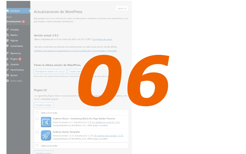 Pantalla actualizaciones de WordPress